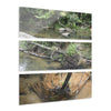 Deep Forest Explorations - Pristine Rio Sabana Nature Art - El Yunque RainForest  - Nikon D850 - Tropical Rivers Triptych Acrylic Print – Panoramic Jungle Wall Aert