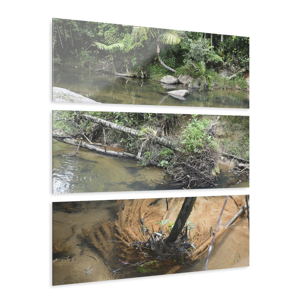 Deep Forest Explorations - Pristine Rio Sabana Nature Art - El Yunque RainForest  - Nikon D850 - Tropical Rivers Triptych Acrylic Print – Panoramic Jungle Wall Aert