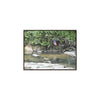 Rainforest Trails & Views - Gallery Canvas Wraps, Horizontal Frame - El Yunque National Forest - Rio Sabana Park and pond - Green Forest Home