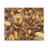 Autumn Leaf Floor Canvas Print — Deep Forest Explorations - El Yunque - Nikon D850 Stretched Wall Art (0.75")