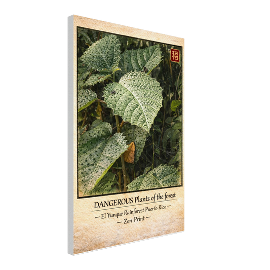 28415fae-60e9-45ab-b98e-b769e8f22063