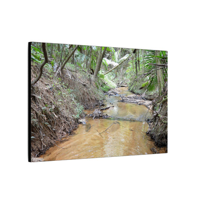 Matte Canvas Print — Tropical Forest Creek Wall Art (Stretched) - El Yunque Rainforest - Puerto Rico - Deep forest explorations