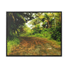 Rainforest Trails & Views - Gallery Canvas Wraps, Horizontal Frame - El Yunque National Forest - Puerto Rico - PR 191 Closed road - paint effect - Green Forest Home