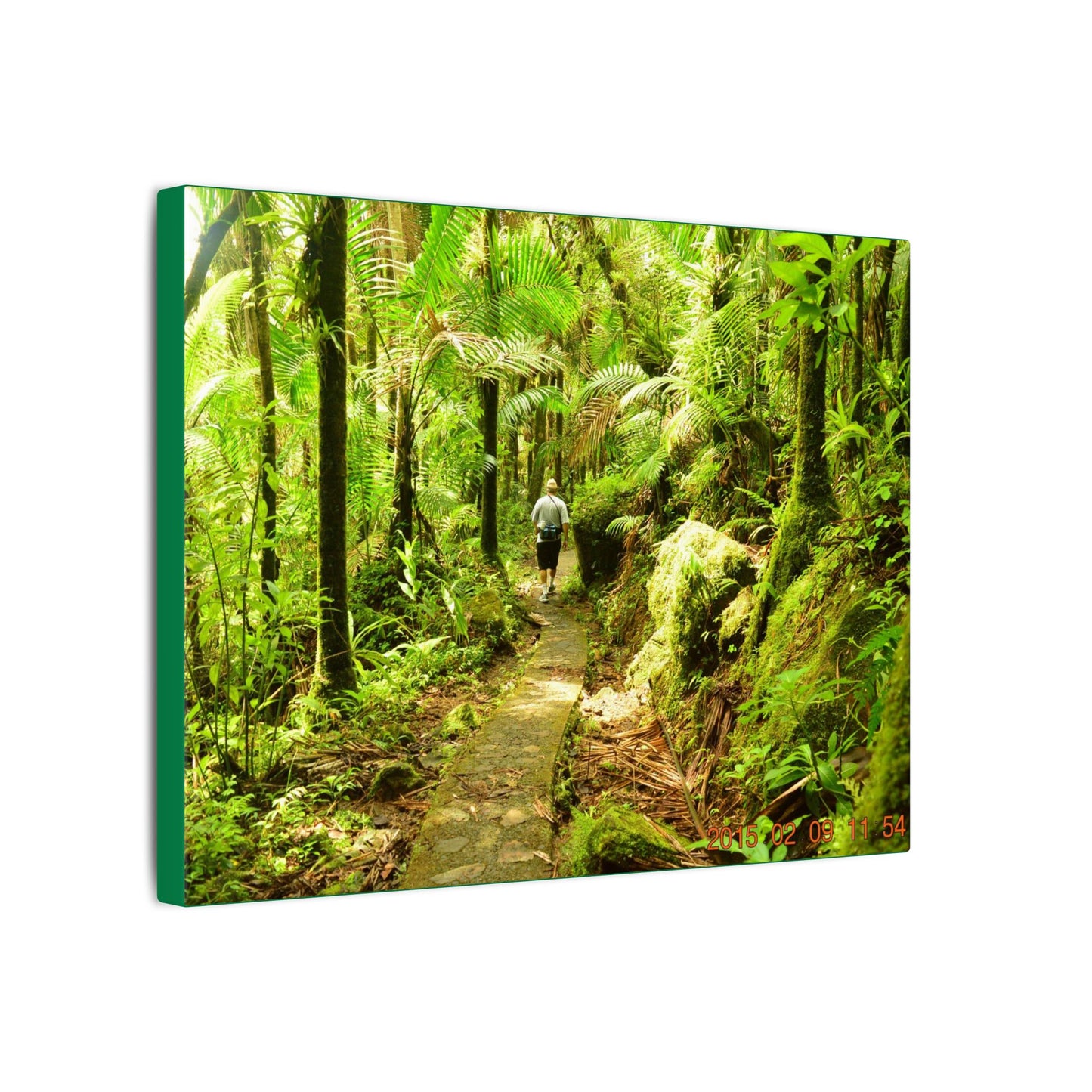 Forest Trail Matte Canvas Print – Lush Green Nature Wall Art - Hiker enjoys the BEAUTY - Mt Britton Trail - El Yunque Rainforest - Puerto Rico