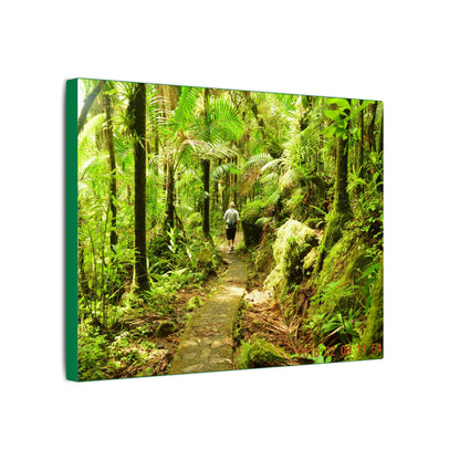 Forest Trail Matte Canvas Print – Lush Green Nature Wall Art - Hiker enjoys the BEAUTY - Mt Britton Trail - El Yunque Rainforest - Puerto Rico