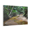 Deep Forest Explorations - El Yunque Holy Spirit River - Nikon D850 - Tropical Creek Canvas Print — Lush Rainforest River Wall Art