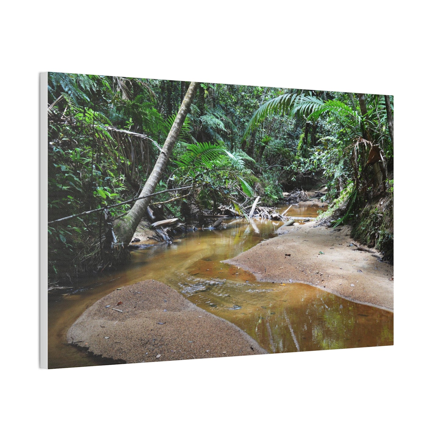 Deep Forest Explorations - El Yunque Holy Spirit River - Nikon D850 - Tropical Creek Canvas Print — Lush Rainforest River Wall Art