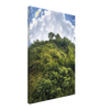 2ba2120b-e647-4e98-b653-adfcd0ba4c16