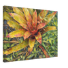2c2f75e3-0555-4ab9-b4b7-8fca4282435e