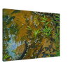 2d80bbb5-ed74-4450-8fe1-1ec82577749b
