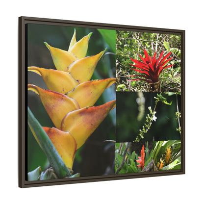 Tropical Vista Matte Canvas Framed Wall Art - Forest explorations - Deep in El Yunque rainforest PR - Mosaic#1 of the Flowers of El Yunque rainforest