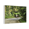 Tropical Road Walk Canvas — Couple with cat and dog in El Yunque - Scenic Nature Wall Art