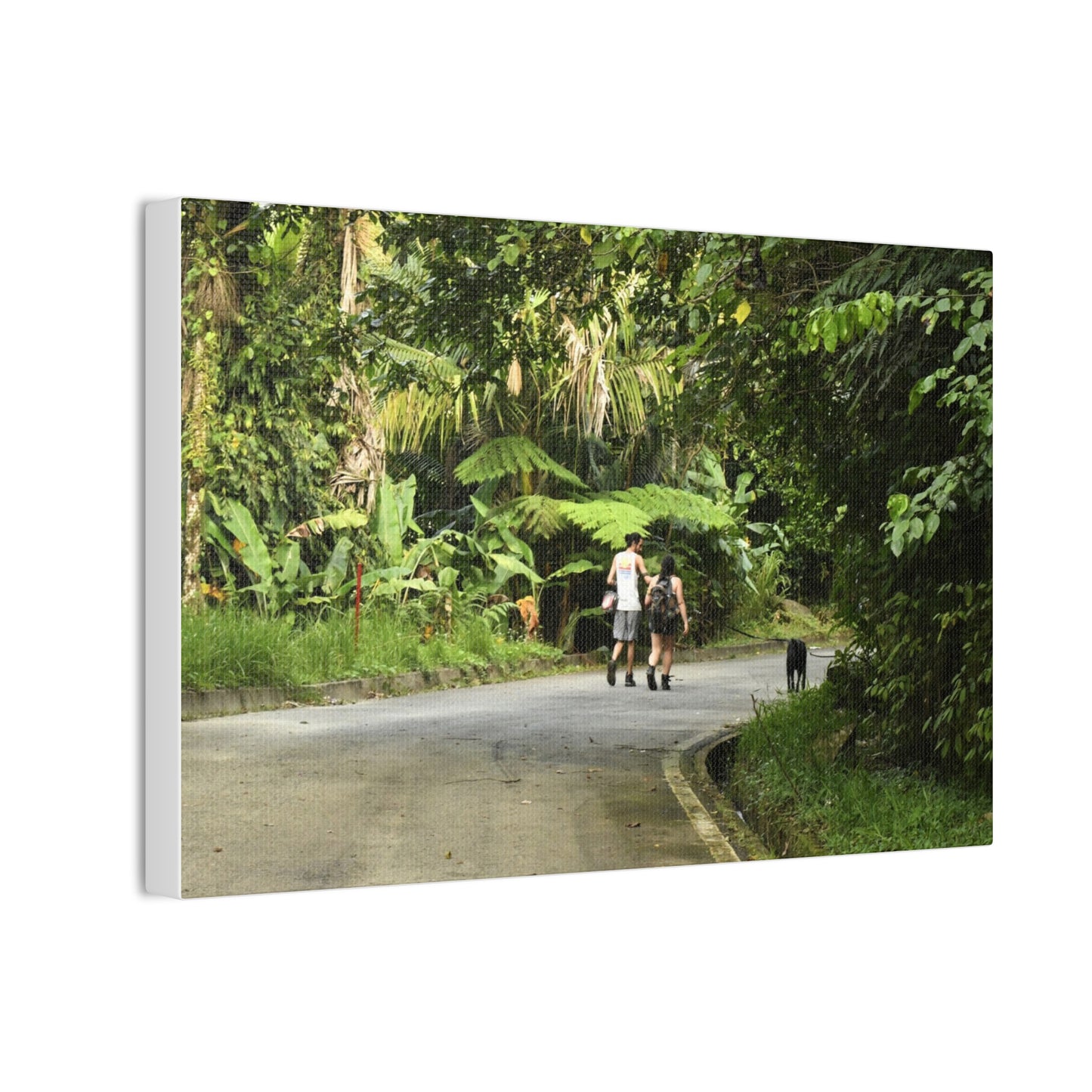 Tropical Road Walk Canvas — Couple with cat and dog in El Yunque - Scenic Nature Wall Art