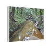 Deep Forest Explorations - El Yunque Holy Spirit River - Nikon D850 - Forest Creek Canvas Print - Stretched 0.75" Nature Wall Art