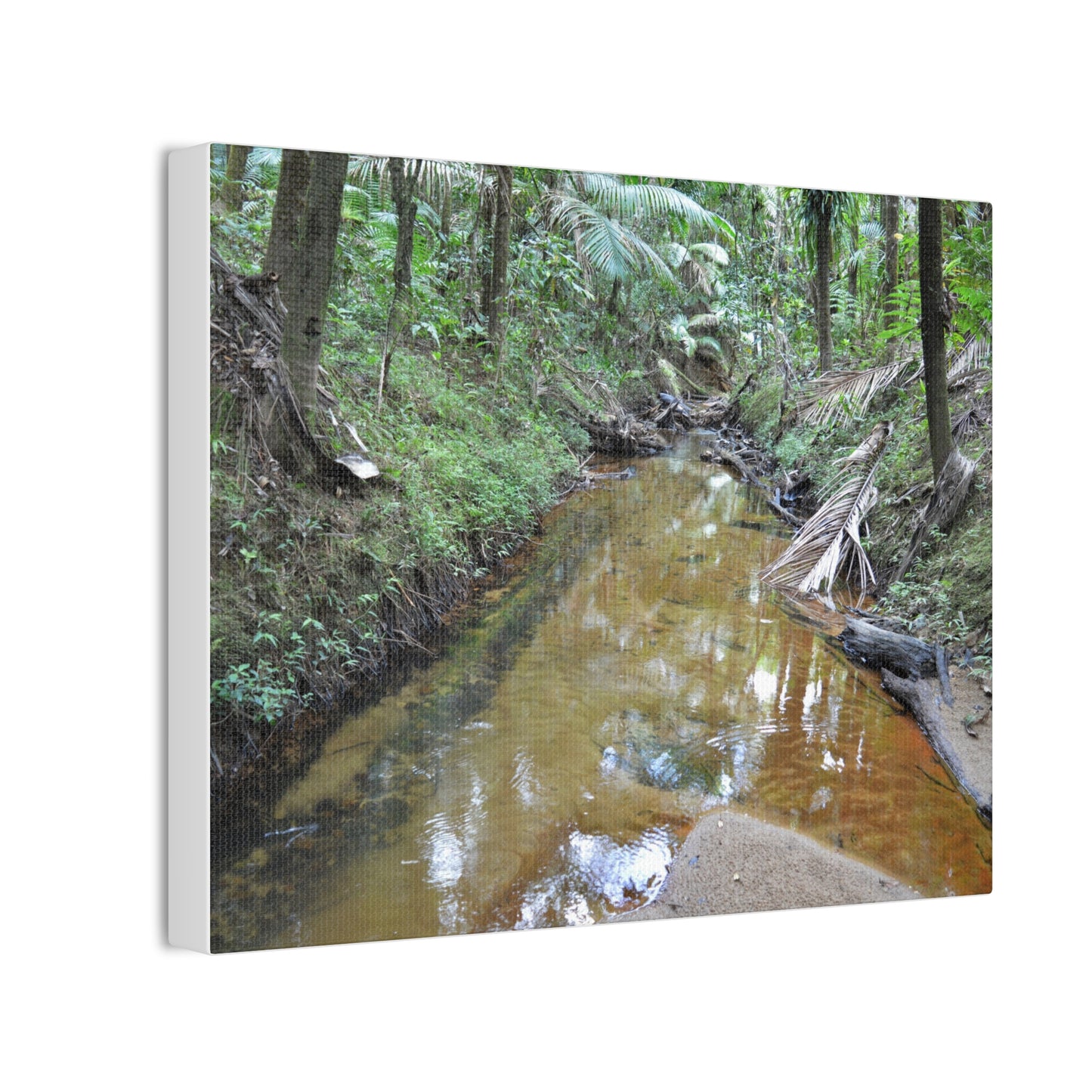 Deep Forest Explorations - El Yunque Holy Spirit River - Nikon D850 - Forest Creek Canvas Print - Stretched 0.75" Nature Wall Art