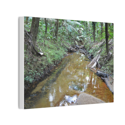 Deep Forest Explorations - El Yunque Holy Spirit River - Nikon D850 - Forest Creek Canvas Print - Stretched 0.75" Nature Wall Art