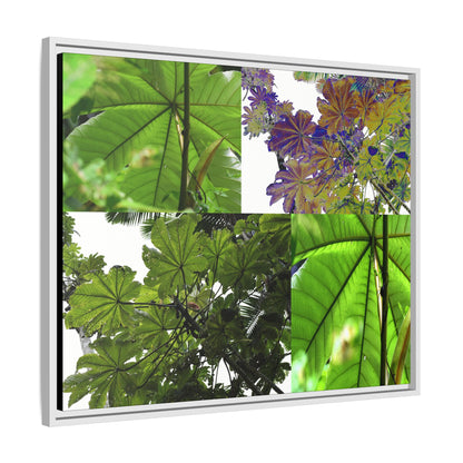 Tropical Vista Matte Canvas Framed Wall Art - Forest explorations - Deep in El Yunque rainforest PR - Mosaic#3 of the Unique Yagrumo Tree Leafs