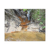 Rust-Tinged Creek Canvas Print — Natural Stream Landscape Wall Art - Tributary with decomposing matter orange color -  Deep forest explorations