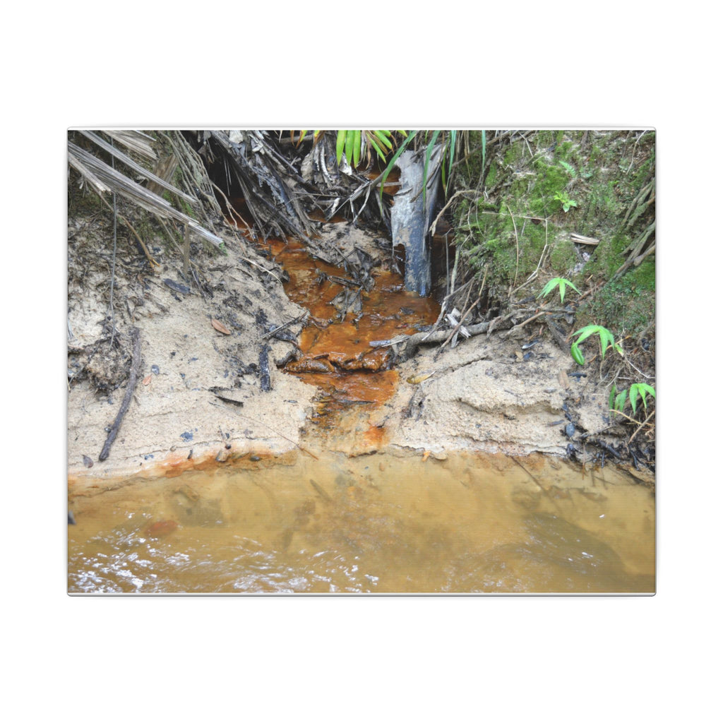 Rust-Tinged Creek Canvas Print — Natural Stream Landscape Wall Art - Tributary with decomposing matter orange color -  Deep forest explorations