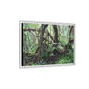 Framed Matte Canvas Wall Art — Tropical Rainforest Roots Photography - The dance of trees - a tree jumble where they hold each other - Nikon
