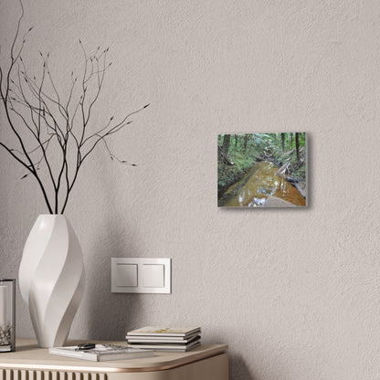 Deep Forest Explorations - El Yunque Holy Spirit River - Nikon D850 - Forest Creek Canvas Print - Stretched 0.75" Nature Wall Art