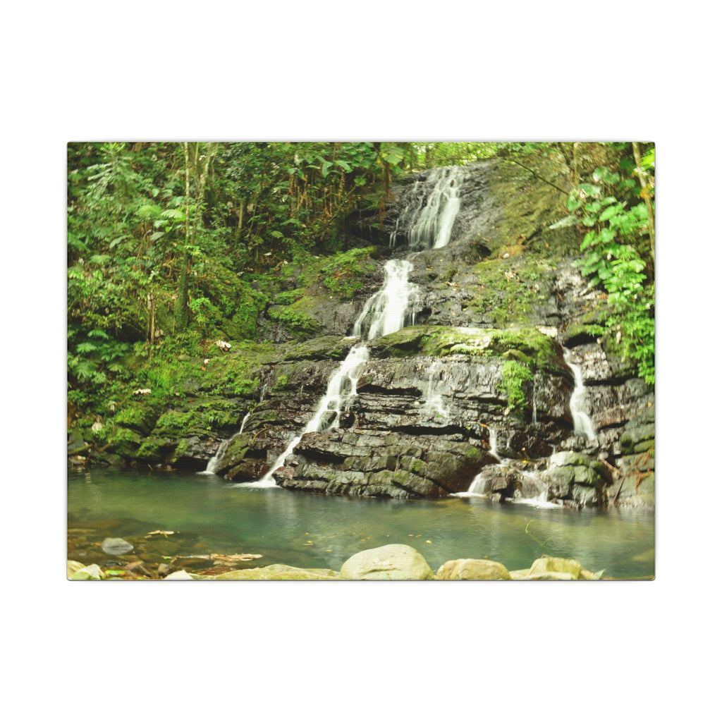 Waterfall Forest Canvas Print — Tranquil Nature Wall Art (Matte Stretched) - Hidden Waterfal - La Coca Trail - El Yunque Rainforest - Puerto Rico