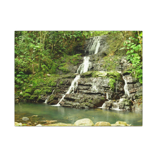Waterfall Forest Canvas Print — Tranquil Nature Wall Art (Matte Stretched) - Hidden Waterfal - La Coca Trail - El Yunque Rainforest - Puerto Rico