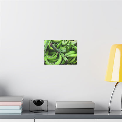 Green Banana Bunch Matte Canvas Wall Art — Tropical Kitchen Decor - Platanos in Puerto Rico - ready for cooking - for tostones etc.
