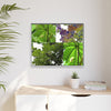 Tropical Vista Matte Canvas Framed Wall Art - Forest explorations - Deep in El Yunque rainforest PR - Mosaic#3 of the Unique Yagrumo Tree Leafs