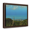 Rainforest Trails & Views - Gallery Canvas Wraps, Horizontal Frame - El Yunque National Forest - PR - Urbanization gets closer - view from Tres Picachos - Green Forest Home