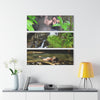 El Yunque Rainforest - The Joy and Beauty of El Yunque Streams  - Jose and Gloria - Nikon D850 - Triptych Acrylic Print – Forest Creek Landscape Wall Art