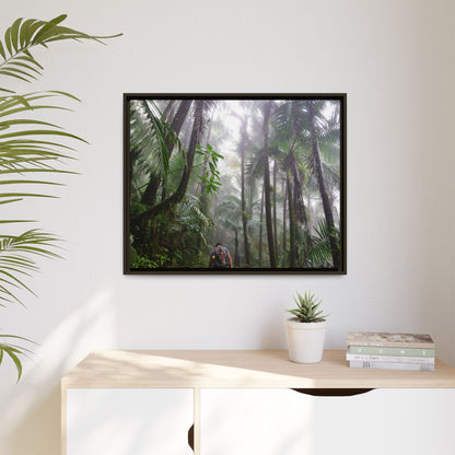 Tropical Vista Matte Canvas Framed Wall Art - Forest explorations - My son Jose is tired on El Yunque High-Forest (in the clouds) trail -  El Yunque rainforest PR