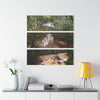 Deep Forest Explorations - Pristine Rio Sabana  & Flash Flood- El Yunque RainForest  - Nikon D850 - Tropical Rivers Triptych Acrylic Print – Panoramic Jungle Wall Aert