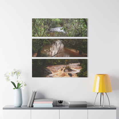 Deep Forest Explorations - Pristine Rio Sabana  & Flash Flood- El Yunque RainForest  - Nikon D850 - Tropical Rivers Triptych Acrylic Print – Panoramic Jungle Wall Aert