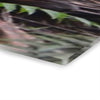 Two Views of the RainFoest  of El Yunque and a rare View of the El Yunque Mountain - Nikon D850 - Triptych Acrylic Print – Forest Creek Landscape Wall Art