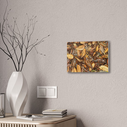 Autumn Leaf Floor Canvas Print — Deep Forest Explorations - El Yunque - Nikon D850 Stretched Wall Art (0.75")