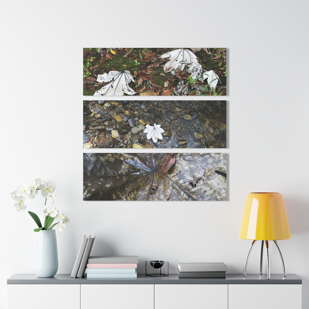 Deep Forest Explorations -The amazing Yagrumo Tree Leaves  - El Yunque RainForest  - Nikon D850 - Tropical Mountains Triptych Acrylic Print – Panoramic Jungle & Ocean Wall Art