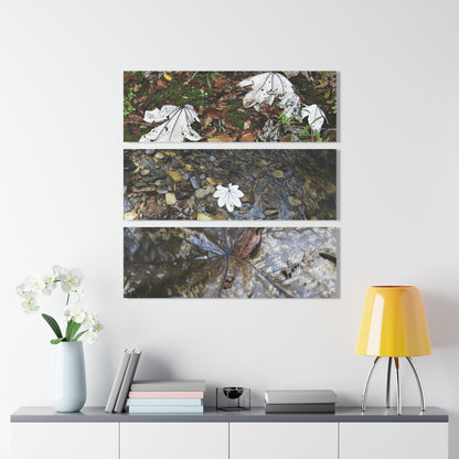 Deep Forest Explorations -The amazing Yagrumo Tree Leaves  - El Yunque RainForest  - Nikon D850 - Tropical Mountains Triptych Acrylic Print – Panoramic Jungle & Ocean Wall Art