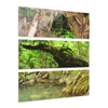 Deep Forest Explorations - Espiritu Santo View from Fallen Tree, Decaying tree and Trail Pond - El Yunque RainForest  - Nikon D850 - Tropical Rivers Triptych Acrylic Print – Panoramic Jungle Wall Aert