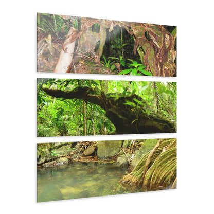 Deep Forest Explorations - Espiritu Santo View from Fallen Tree, Decaying tree and Trail Pond - El Yunque RainForest  - Nikon D850 - Tropical Rivers Triptych Acrylic Print – Panoramic Jungle Wall Aert