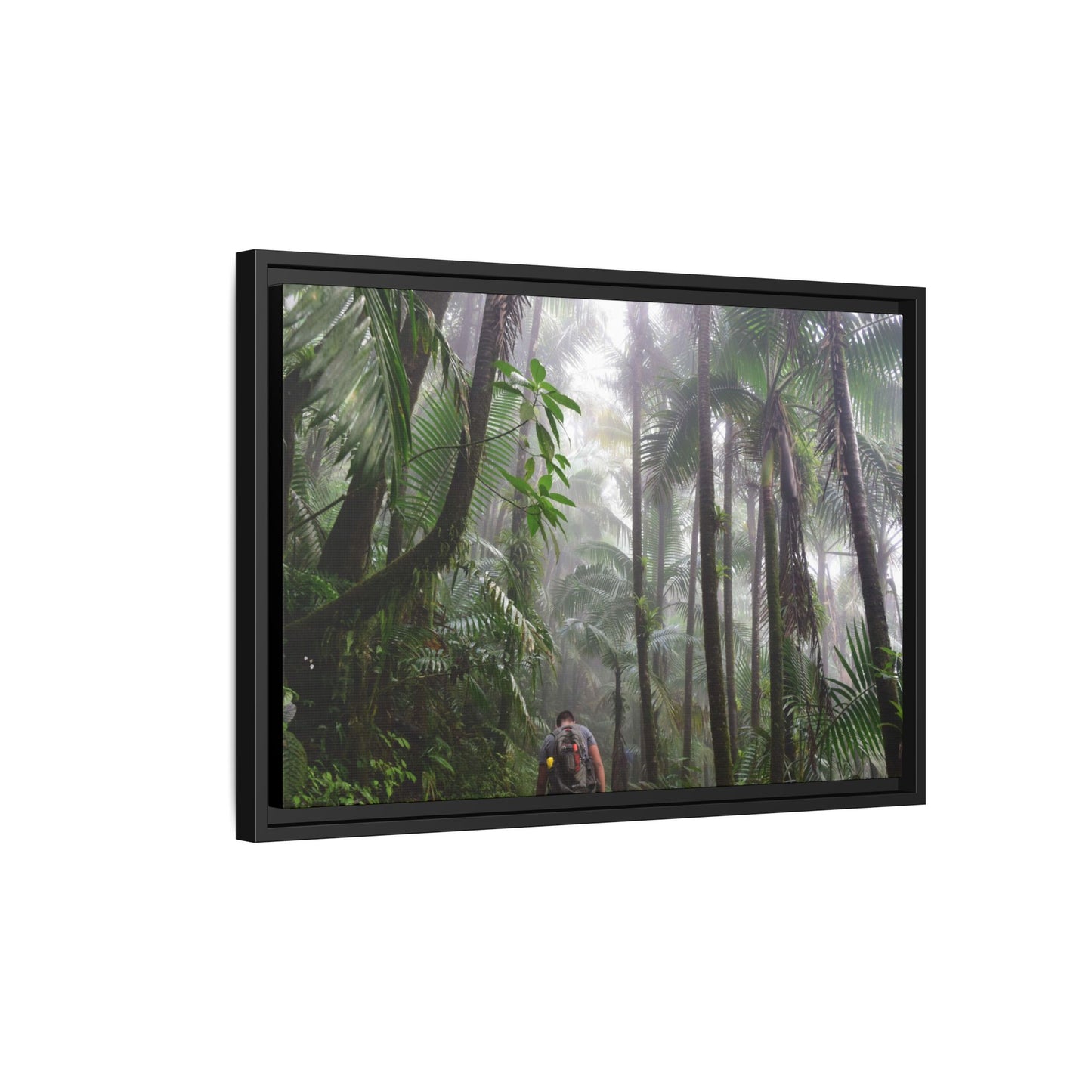 Tropical Vista Matte Canvas Framed Wall Art - Forest explorations - My son Jose is tired on El Yunque High-Forest (in the clouds) trail -  El Yunque rainforest PR