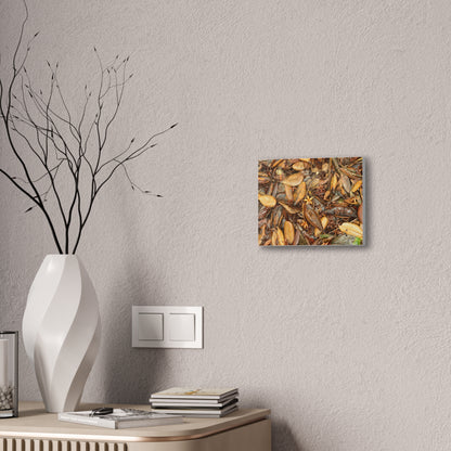 Autumn Leaf Floor Canvas Print — Deep Forest Explorations - El Yunque - Nikon D850 Stretched Wall Art (0.75")