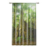 Tropical Jungle - Huge Tree grows in top of Boulder - Window Curtain - Lush Rainforest Print Sheer Drapery - View in El Yunque rainforest - Puerto  Rico - Nikon