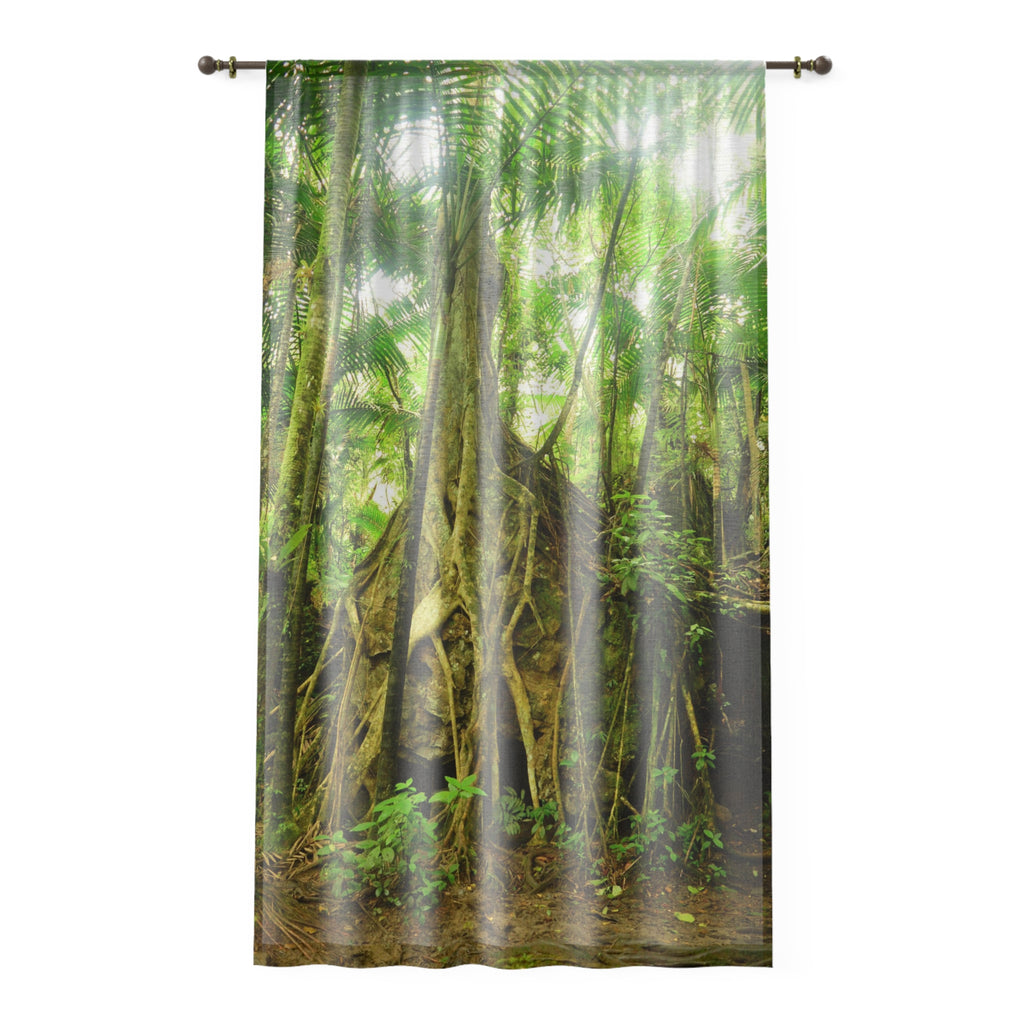 Tropical Jungle - Huge Tree grows in top of Boulder - Window Curtain - Lush Rainforest Print Sheer Drapery - View in El Yunque rainforest - Puerto  Rico - Nikon