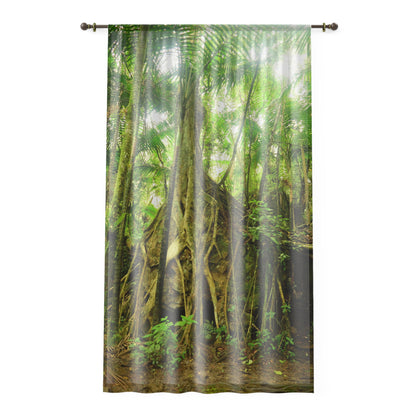 Tropical Jungle - Huge Tree grows in top of Boulder - Window Curtain - Lush Rainforest Print Sheer Drapery - View in El Yunque rainforest - Puerto  Rico - Nikon