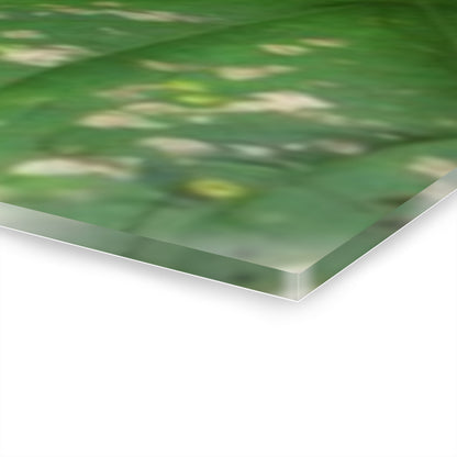 Deep Forest Explorations - Pristine Rio Sabana  2-Rivers Magical Pond - El Yunque RainForest  - Nikon D850 - Tropical Rivers Triptych Acrylic Print – Panoramic Jungle Wall Aert