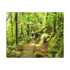 Forest Trail Matte Canvas Print – Lush Green Nature Wall Art - Hiker enjoys the BEAUTY - Mt Britton Trail - El Yunque Rainforest - Puerto Rico