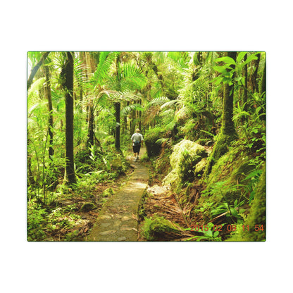 Forest Trail Matte Canvas Print – Lush Green Nature Wall Art - Hiker enjoys the BEAUTY - Mt Britton Trail - El Yunque Rainforest - Puerto Rico