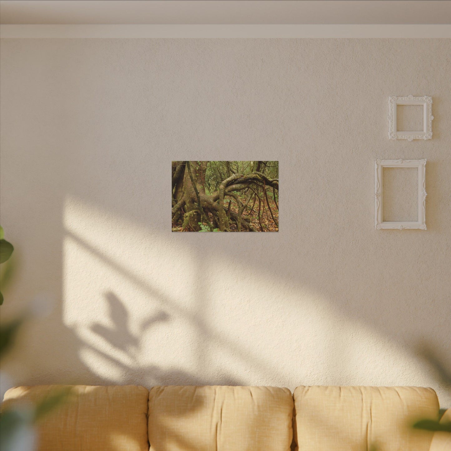 Complex of Tree Roots Canvas Wall Art — Woodland Forest Photography - In Tradewinds trail CLOUD FOREST - Trees have these roots to survive hurricanes