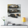 The Home Dog Firu sleeps in the sofa - Nikon D850 - Triptych Acrylic Print